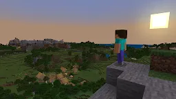 Screenshot 8: Minecraft