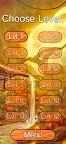 Screenshot 2: Fortune Tiger