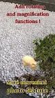 Screenshot 2: Life with hamster