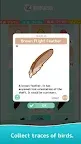 Screenshot 8: Tori Watch 2 - fluffy small birds -