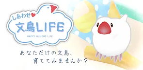 Screenshot 25: 幸福文鳥LIFE - 寵物飼養 -