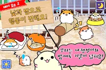 Screenshot 4: 햄스터 컬렉션 ◆ 무료 육성 게임! 한가로이 애완 동물 라이프