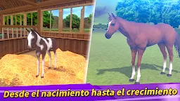 Screenshot 3: Derby Life