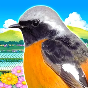 雀鳥樂園