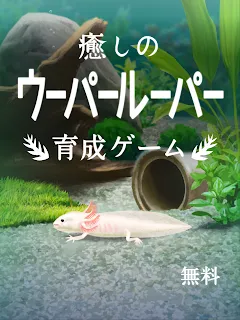 癒しのウーパールーパー育成ゲーム ゲームストア