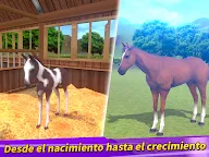 Screenshot 11: Derby Life