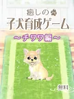 Screenshot 6: Healing Puppy Training Game -Chiwawa Hen〜