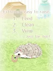 Screenshot 5: Hedgehog Pet