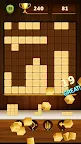Screenshot 11: Wood Puzzle Quest