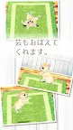 Screenshot 3: Healing Puppy Training Game -Chiwawa Hen〜