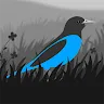 Icon: Grayland 輕量版
