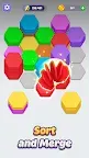 Screenshot 2: Hexa Sorting Puzzle