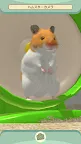Screenshot 6: Life with hamster