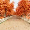 Icon: The Arrival of Autumn