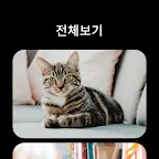 Screenshot 20: 카카오톡