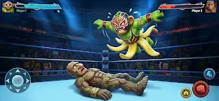 Screenshot 12: WrestleRot: Ring Fighting Game