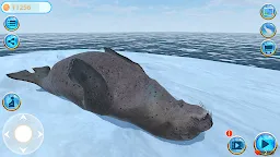 Screenshot 17: 海豹島