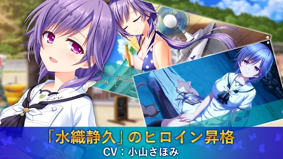 公認 WS Summer Pockets RR以下 BOXPR付き 4コン おもちゃ・ホビー