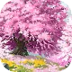 脱出ゲーム 恋桜のおまじない