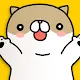 Joke cat
