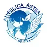 Icon: ANGELICA ASTER