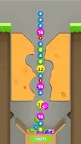 Screenshot 3: Bullet Balls