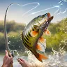 Icon: My Fishing Tour: Hook and Jerk