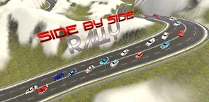 Screenshot 7: Side by Side Rally