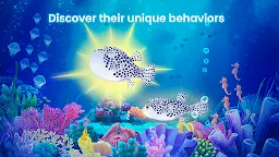 Screenshot 3: Splash: Ocean Sanctuary