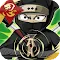NINJA RISES