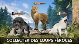 Screenshot 12: Wolf Game: The Wild Kingdom
