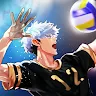 Icon: The Spike - Volleyball