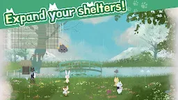 Screenshot 7: Cat Shelter and Animal Friends