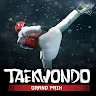 Icon: Taekwondo Game