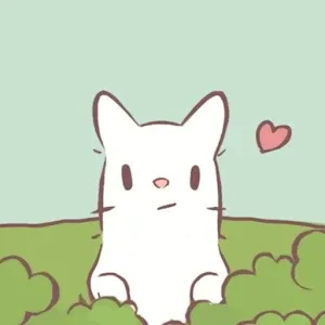 CATS & SOUP  | Korean/English