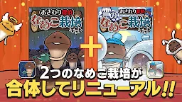 Screenshot 2: 元祖 なめこ栽培キット