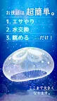 Screenshot 8: 癒しのクラゲ育成ゲーム - 無料放置育成ゲーム
