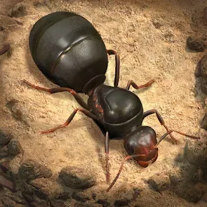 螞蟻：地下王國