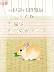 Screenshot 5: Healing Rabbit Breeding Game