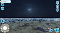 Screenshot 22: 海豹島