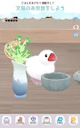 Screenshot 9: 幸福文鳥LIFE - 寵物飼養 -
