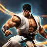 Icon: Street Fighting Karate Fighter