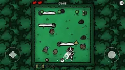 Screenshot 31: Lost Potato