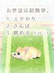 Screenshot 7: Healing Puppy Training Game -Chiwawa Hen〜