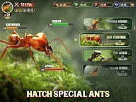 Screenshot 17: The Ants: Underground Kingdom 