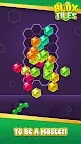 Screenshot 9: Blox Tiles