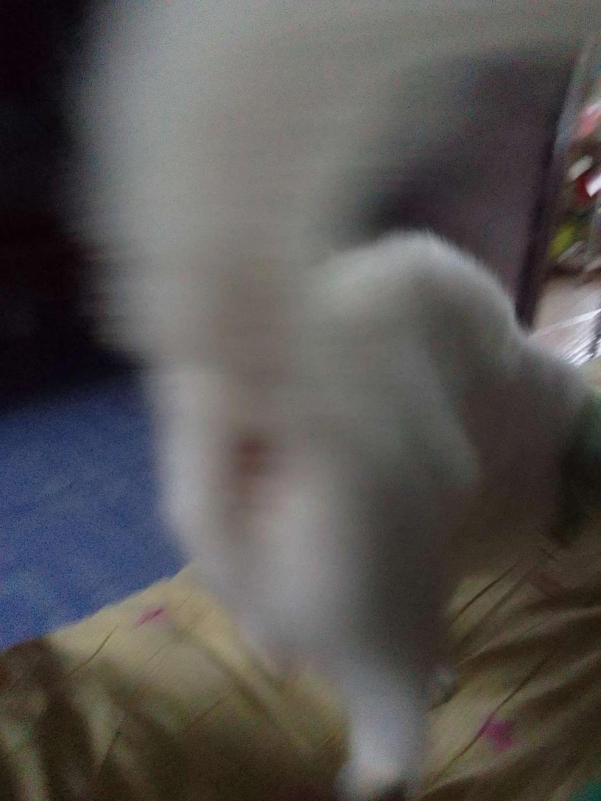 https://o.qoo-img.com/img.qoo-img.com/cimg/album/202307/21/JNGpdK0zlIOVl6HdLAElxuFi.jpg