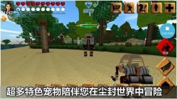 Game Play Video