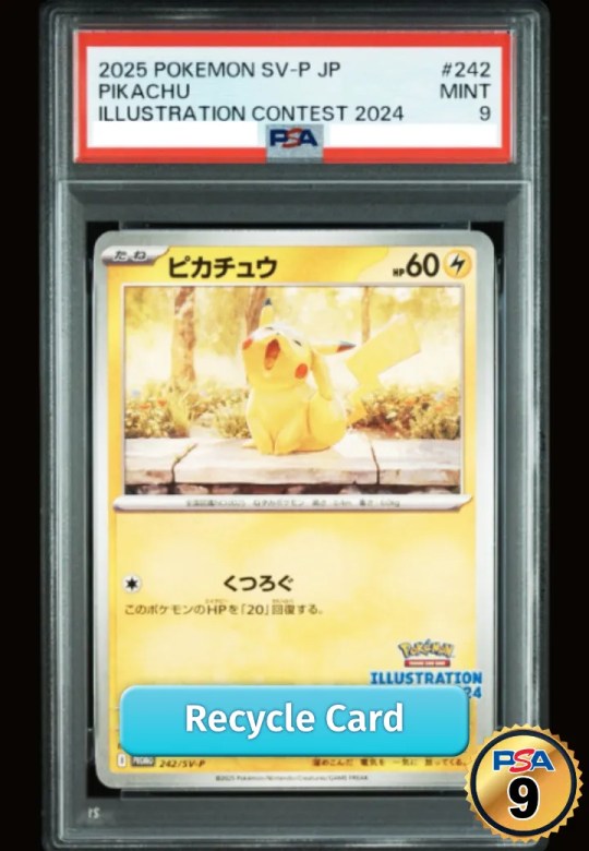 Pikachu [SV-P 242](Promo Card Pack "Illustration Contest 2024 Promo Card Commemoration Campaign for Award-Winning Works")