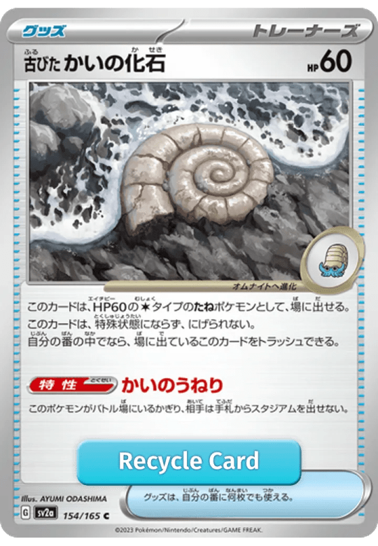 Antique Helix Fossil